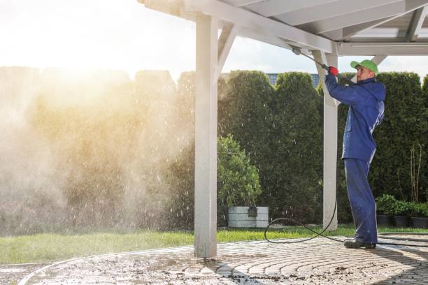 Best Factory Floor Cleaning  in Bayard, NM