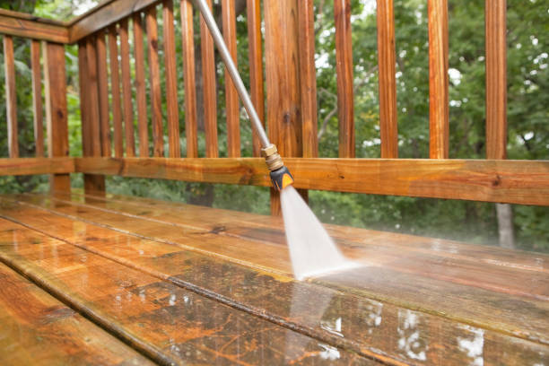 Best Patio and Deck Pressure Washing  in Bayard, NM